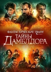 Фантастические твари: Тайны Дамблдора (2022)