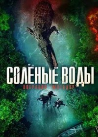 Солёные воды: Операция «Матадор» (2021)